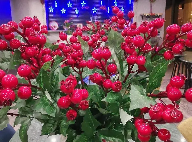 Frame Galata Otel 3*